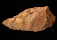 (Foto artefak alat batu tertua di Wallacea, bukti mengejutkan keberadaan hominin 1,5 juta tahun lalu di Sulawesi.)