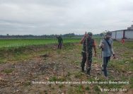 Babinsa Bantu Warga Tanam Jagung, Wujud Kepedulian TNI Dorong Ketahanan Pangan di Simalungun