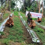 Babinsa Koramil 16/Panei Tonga Hadiri Program Pola Tanam BUMNAG Simantin Pane Dame, Dorong Efektivitas Pertanian di Kecamatan Panei Babinsa Koramil 16/Panei Tonga Hadiri Program Pola Tanam BUMNAG Simantin Pane Dame, Dorong Efektivitas Pertanian di Kecamatan Panei