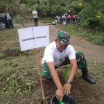 Hijaukan Girsang, Selamatkan Danau Toba, Koramil Girsang Sipangan Bolon Dukung HMPI 2025”