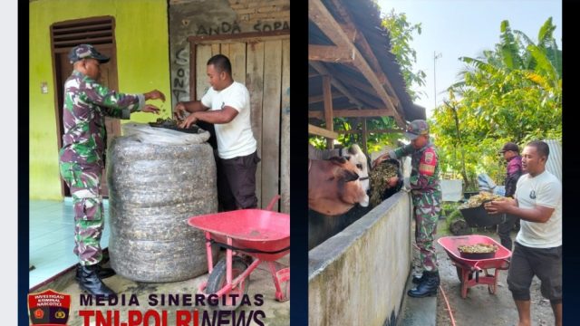 Babinsa Serbelawan Ajak Warga Padang Mainu Tingkatkan Kesejahteraan Lewat Budidaya Ternak Sapi