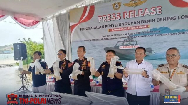 Bea Cukai Gagalkan Penyelundupan Benih Bening Lobster di Perairan Pulau Kongka Besar