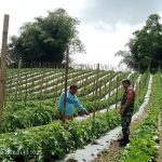 Kebersamaan di Wilayah Binaan, Babinsa Perkuat Hubungan dengan Warga Kebersamaan di Wilayah Binaan, Babinsa Perkuat Hubungan dengan Warga
