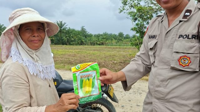 Bhabinkamtibmas Polsek Serbalawan Dampingi Warga Tanam Jagung Manis di Bahung Huluan, Dorong Ketahanan Pangan dan Kamtibmas