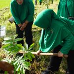 Peringati HUT ke-80 Persit, Ketua Persit Kartika Chandra Kirana Cabang LXII Dim 0308/Padang Pariaman Tanam Bibit Pohon Wujudkan Lingkungan Lestari Peringati HUT ke-80 Persit, Ketua Persit Kartika Chandra Kirana Cabang LXII Dim 0308/Padang Pariaman Tanam Bibit Pohon Wujudkan Lingkungan Lestari