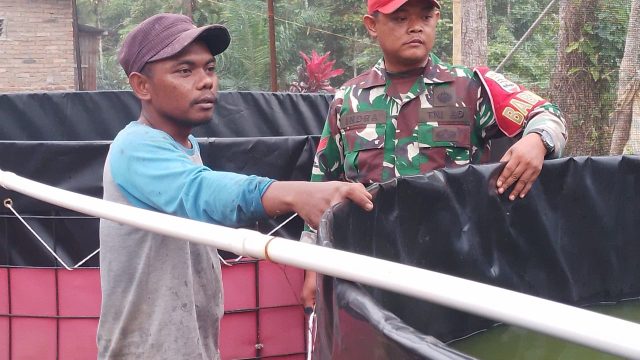 Babinsa Serbelawan Dampingi Pengelola BUMNag, Bahas Perawatan Air untuk Tingkatkan Hasil Ternak Lele