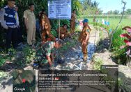 Babinsa Hadir di Tengah Petani, Tebar Semangat dan Perkuat Ketahanan Pangan.