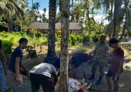 Pemotongan Hewan Qurban di Surau Darrusalam Nagari Lareh Nan Panjang Barat.