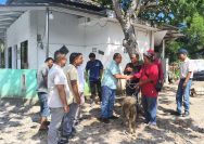 Sentuhan Kasih Idul Adha: PSI Pematangsiantar Tebar Qurban di musholla Irsyad Amanah, Eratkan Silaturahmi.