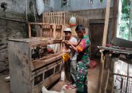 Babinsa Siantar Selatan Dorong Semangat Peternak Lokal, Budidaya Ayam AKA RAJA dan Mentok Jadi Peluang Tambahan Ekonomi Warga.