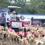 Perkuat Ketahanan Pangan Nasional, Presiden Prabowo Turun Langsung Panen Jagung di Tuban. Perkuat Ketahanan Pangan Nasional, Presiden Prabowo Turun Langsung Panen Jagung di Tuban.