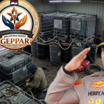 GEPPAR Desak Kapolda Riau Tindak Tegas Mafia BBM Bersubsidi: Jangan Beri Ruang Bagi Penimbun Solar di Provinsi Riau!. GEPPAR Desak Kapolda Riau Tindak Tegas Mafia BBM Bersubsidi: Jangan Beri Ruang Bagi Penimbun Solar di Provinsi Riau!.