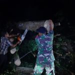 Babinsa Bersama Warga Evakuasi Pohon Tumbang di Jalinsum Siantar–Parapat, Kemacetan Berhasil Diurai.