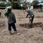 Babinsa Koramil Raya Laksanakan Komsos dan Bantu Warga Bersihkan Gulma di Lahan Pertanian. Babinsa Koramil Raya Laksanakan Komsos dan Bantu Warga Bersihkan Gulma di Lahan Pertanian.