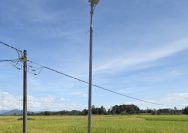Tokoh Putra Daerah, Maruli Siahaan Bantu Warga Bahalimbalo Nikmati Lampu Jalan Setelah Bertahun Tahun Gelap