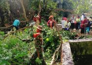 Semangat Kebersamaan, TNI-Polri dan Warga Gotong Royong Bersihkan Umbul di Siabal Abal