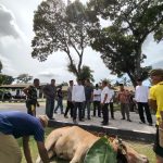Kodim 0207/Simalungun Sembeli 11 Hewan Kurban, Dandim: "Wujud Kepedulian Sosial untuk Warga.