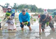 Menanam Harapan untuk Negeri, Babinsa dan Petani Bah Sorma Bersatu Sukseskan Tanam Serentak Nasional.