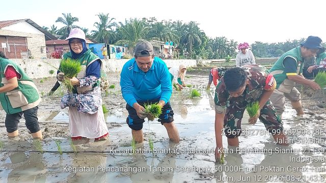 Menanam Harapan untuk Negeri, Babinsa dan Petani Bah Sorma Bersatu Sukseskan Tanam Serentak Nasional.