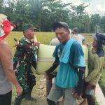 Babinsa Koramil 07/Bosar Maligas Dampingi Panen Padi Warga, Dorong Petani Jaga Kualitas Hasil Panen.