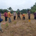 Babinsa, Bhabinkamtibmas dan PPL Bersatu di Lahan Jagung, Wujud Nyata Dukungan Ketahanan Pangan di Marihat Dolok.