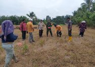 Babinsa, Bhabinkamtibmas dan PPL Bersatu di Lahan Jagung, Wujud Nyata Dukungan Ketahanan Pangan di Marihat Dolok.