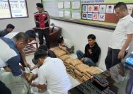 Sat Narkoba Polres Taput Amankan 2 Kurir Narkoba, 112 Paket Ganja Kering Berhasil di Sita.