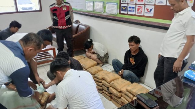Sat Narkoba Polres Taput Amankan 2 Kurir Narkoba, 112 Paket Ganja Kering Berhasil di Sita.