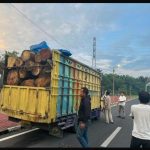 Bravo ! Tim Gabungan Den Inteldam I/BB dan BAIS TNI,Berhasil Gagalkan Penyelendupan Puluhan Batang Kayu Diduga Hasil Pembalakan Liar.