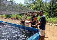 Jaga Kebersihan Kolam, Babinsa dan Peternak Lele Bersinergi Wujudkan Panen Maksimal.