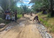 Babinsa dan Warga Lumban Gorat Bersatu Perbaiki Jalan Rusak, Wujud Nyata Kepedulian untuk Kemudahan Akses Masyarakat.