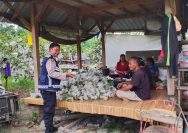 Bhabinkamtibmas Polsek Pancur Batu Hadir Di Tengah Masyarakat ,Sambangi Kebun Warga Dan Sampaikan Pesan Kamtibmas.