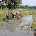 Tak Sekadar Komunikasi Sosial, Babinsa Ikut Turun Tangan Membajak Sawah Dukung Ketahanan Pangan Simalungun. Tak Sekadar Komunikasi Sosial, Babinsa Ikut Turun Tangan Membajak Sawah Dukung Ketahanan Pangan Simalungun.