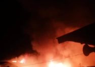 Si Jago Merah Mengamuk di Pasar Dwikora Parluasan, Warga Pematangsiantar Gempar.