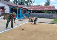 Tak Sekadar Komsos, Babinsa Tanah Jawa Turun Tangan Bantu Petani Jemur Hasil Panen.