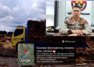 Usai Dilaporkan GEPPAR ke Setneg, Kabid Humas Polda Sumut Kombes Pol Ferry Walintukan Tegaskan Sikat Habis Illegal Logging C. Silaban dan Oknum Intimidator.