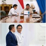 Menteri Kesehatan Budi Gunadi Sadikin Menghadap Presiden Prabowo Subianto,terkait hal ini .