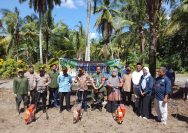 Babinsa Koramil 03/Sungai Sariak Hadiri Penanaman Jagung Program Swasembada Pangan Di Wilayah Binaan.
