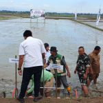 Gerakan Tanam Padi Jadi Momentum Perkuat Ketahanan Pangan, Danramil 06/Perdagangan Hadir Bersama Forkopimca dan Petani.