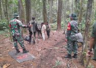 Patroli Bersama di Aek Nauli, TNI-Polri dan Lintas Instansi Perkuat Benteng Terdepan Penjaga Kelestarian Hutan.