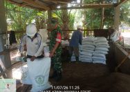 Pererat Sinergi dengan Petani, Babinsa Koramil 06/Pdg Bahas Fermentasi Kohe Kambing.