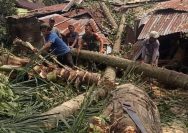 Angin Puting Beliung Terjang Nagori Talun Madear, Babinsa Koramil 06/Perdagangan Bergerak Cepat Lakukan Pendataan dan Bantu Warga.