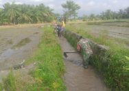 Gotong Royong Babinsa dan Petani Simalungun Jadi Kunci Sukses Program Tanam Serentak.