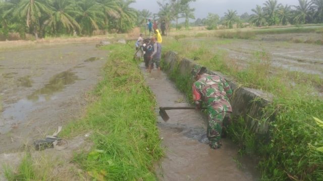 Gotong Royong Babinsa dan Petani Simalungun Jadi Kunci Sukses Program Tanam Serentak.