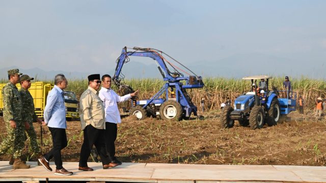 Presiden Prabowo Pimpin Panen Raya Serentak Tiga Komoditas, Perkuat Ketahanan Pangan Nasional.