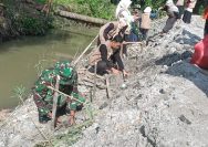 Hijaukan Bantaran Sungai Pepayakan, TNI Bersama Forkopimcam, Mahasiswa dan Warga Bersatu Cegah Bencana di Bosar Maligas.
