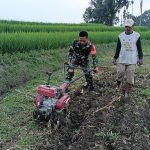 Babinsa dan Petani Bergandengan Tangan, Bangun Ketahanan Pangan dari Nagori Bahliran.