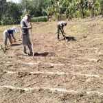 Babinsa Sambangi Ladang Petani, Tanam Jagung dan Pacu Ketahanan Pangan di Simalungun Babinsa Sambangi Ladang Petani, Tanam Jagung dan Pacu Ketahanan Pangan di Simalungun
