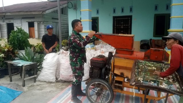 Wujudkan Kepedulian kepada Petani, Babinsa Koramil 03/Siantar Selatan Bantu Olah Hasil Panen Jagung.