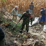 Tak Tunggu Banjir, Babinsa dan Warga Bergerak Perkuat Tanggul Air. Tak Tunggu Banjir, Babinsa dan Warga Bergerak Perkuat Tanggul Air.